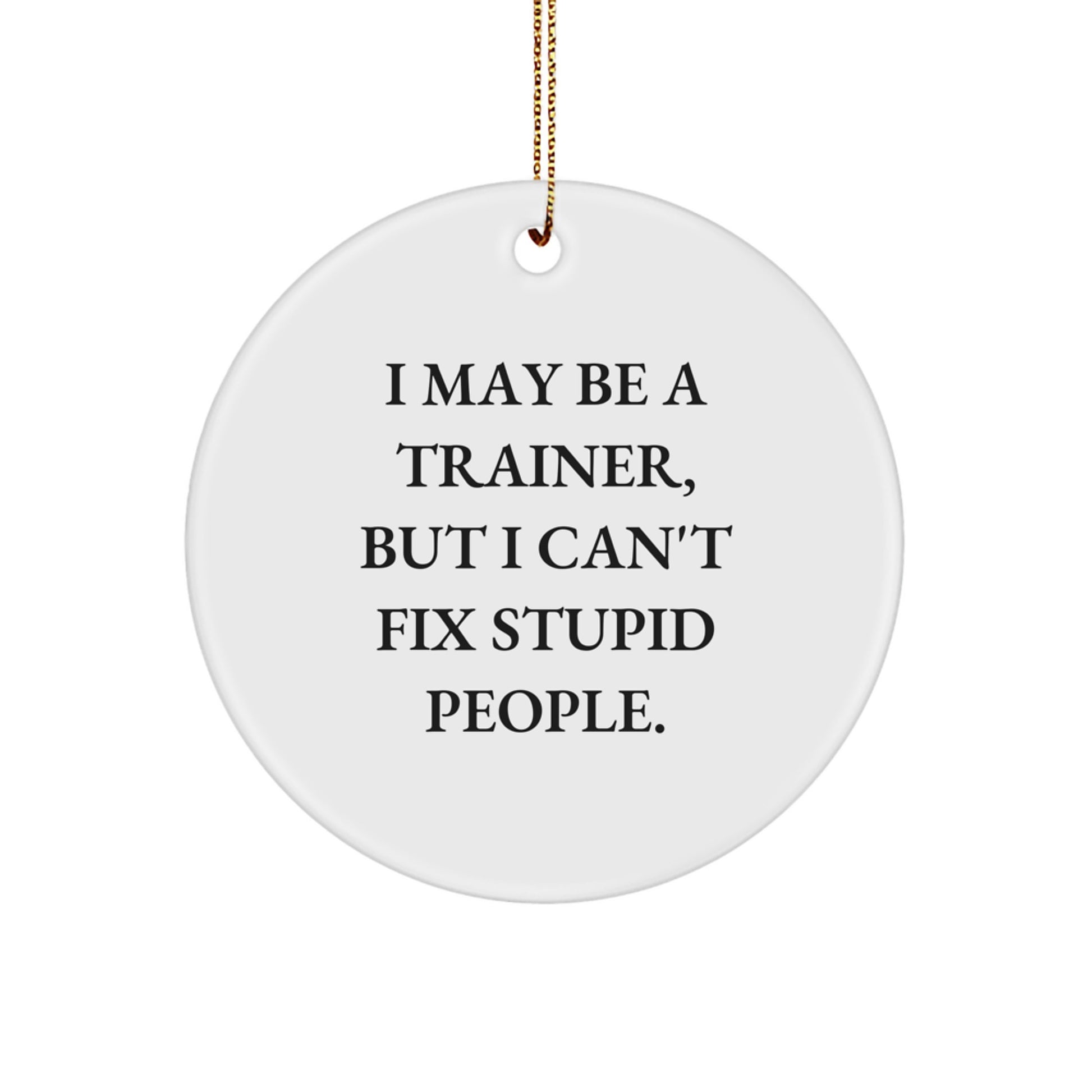 Funny Trainer Gifts from Friends and Family - Christmas Unique Ornaments for Trainers with 'I May Be A Trainer, But I Can't Fix Stupid People.' Quote - Image 1