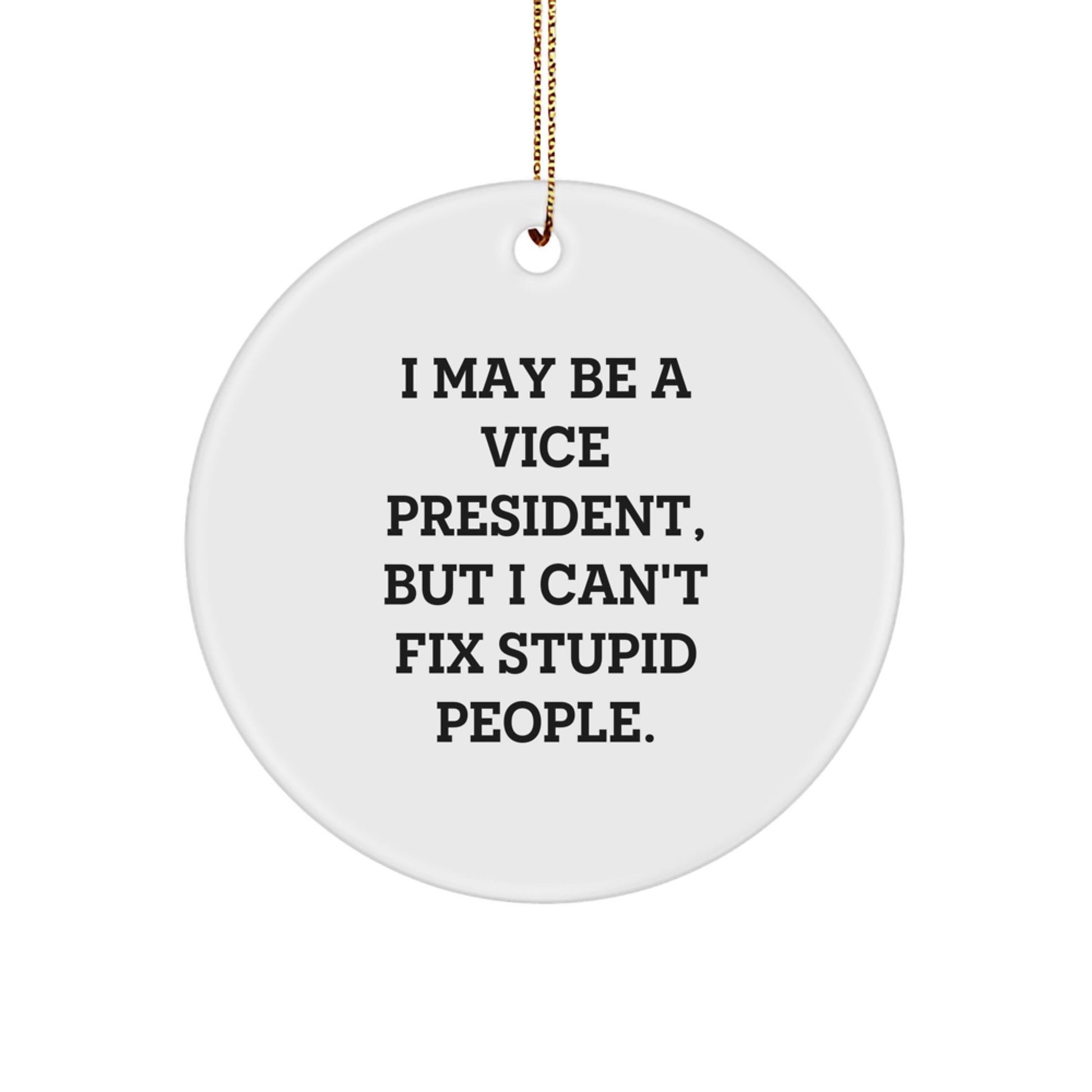Funny Vice President Circle Ornament Gifts for Vice President from Friends, Coworkers, or Family - 'I May Be A Vice President, But I Can't Fix Stupid People. Christmas Unique Gifts - Image 1