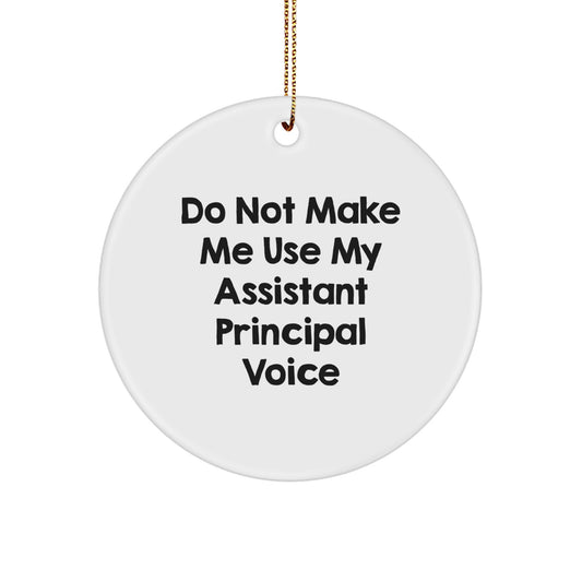 Funny Assistant Principal Gifts from Friends, Cute Circle Ornaments for Christmas Unique Gifts, Do Not Make Me Use My Assistant Principal Voice - Image 1