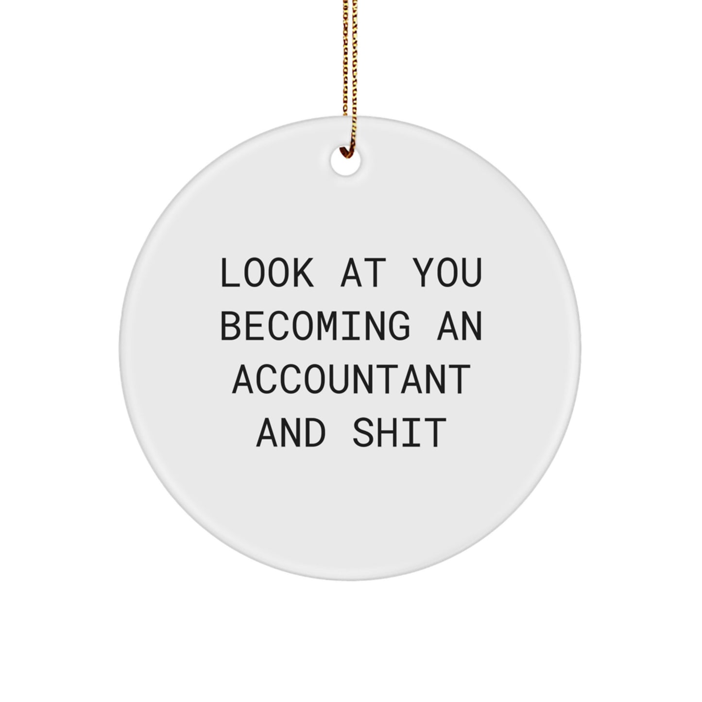 Funny Accountant Gifts from Friends - Look At You Becoming an Accountant and Shit - Circle Ornament, Christmas Unique Decorations - Image 1