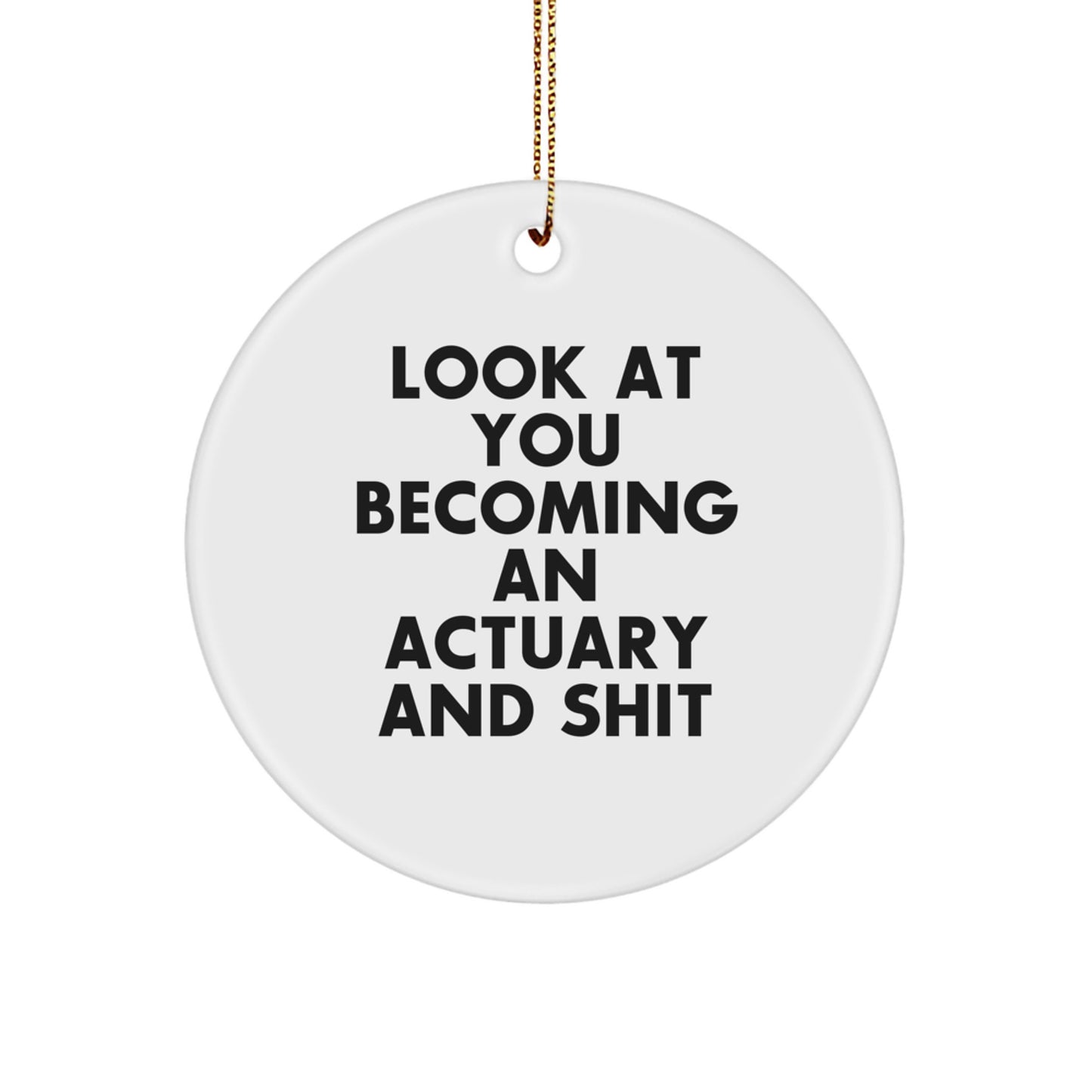 Funny Actuary Gifts for Men - Circle Ornament with Look At You Becoming An Actuary Shit - Christmas Unique Gifts from Friends - Image 1