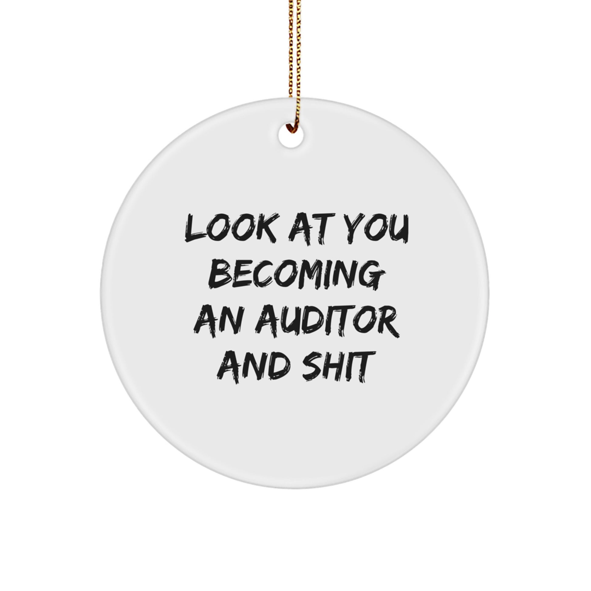 Funny Auditor Gifts for Men, Christmas Unique Circle Ornaments from Friends, 'Look At You Becoming An Auditor And Shit' - Image 1