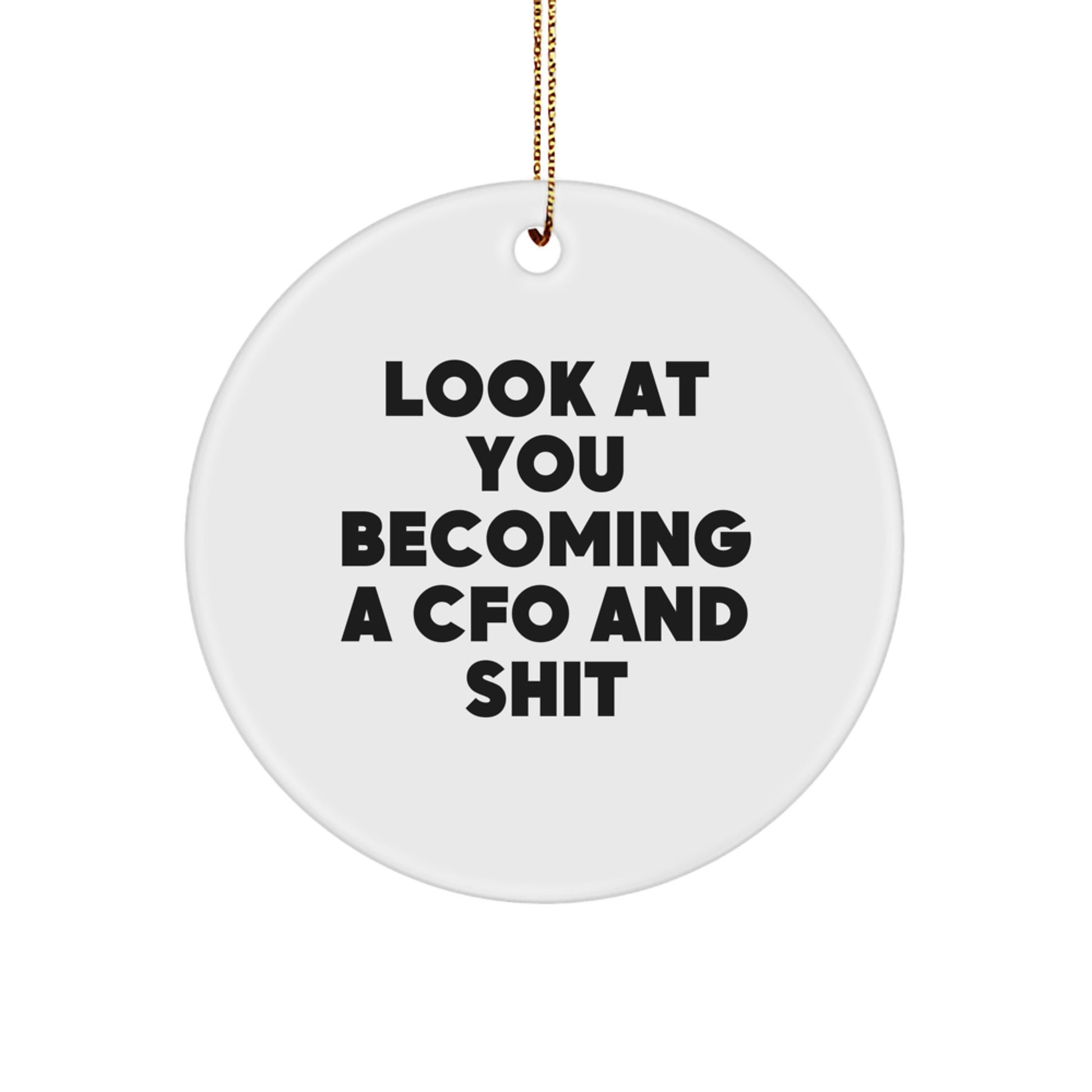 Funny CFO Christmas Circle Ornament Gifts from Friends and Family - Image 1
