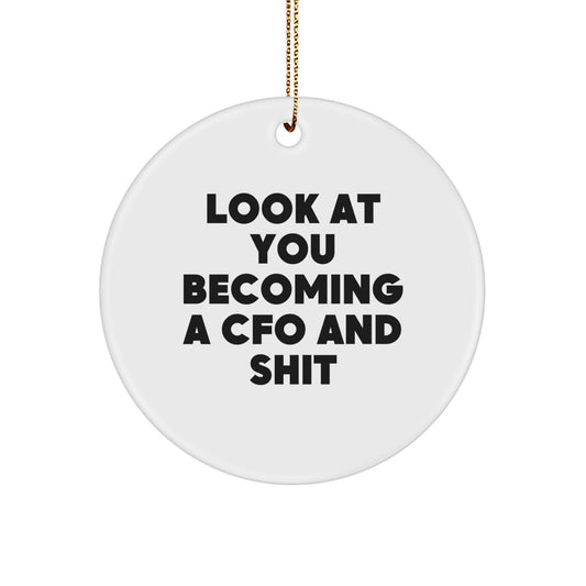 Funny CFO Christmas Circle Ornament Gifts from Friends and Family - Image 1
