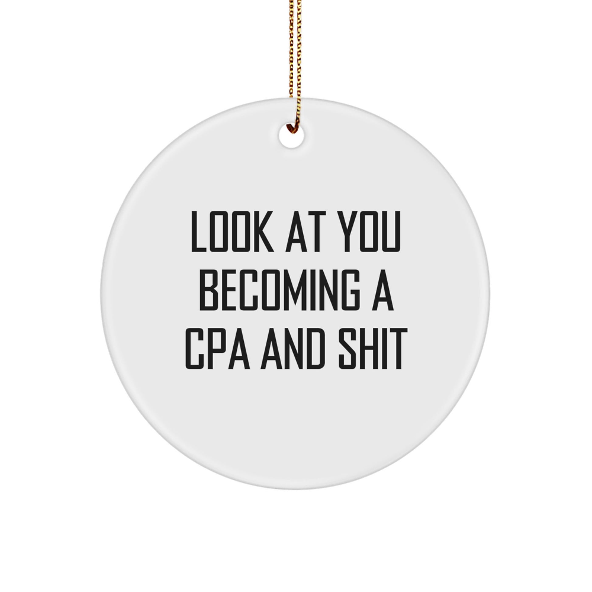 Gifts from Family and Friends for the Successful CPA, A Funny Circle Ornament for Christmas - Image 1