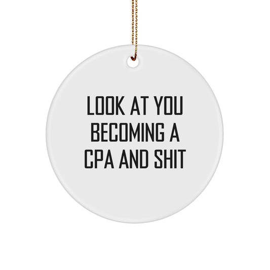 Gifts from Family and Friends for the Successful CPA, A Funny Circle Ornament for Christmas - Image 1