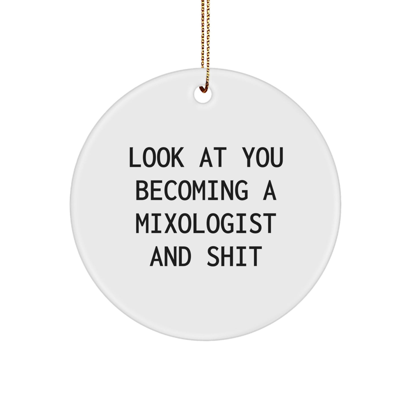 Funny Mixologist Gifts from Friends for Men, Unique Circle Ornament with Look At You Becoming A Mixologist And Shit, Christmas Decoration - Image 1