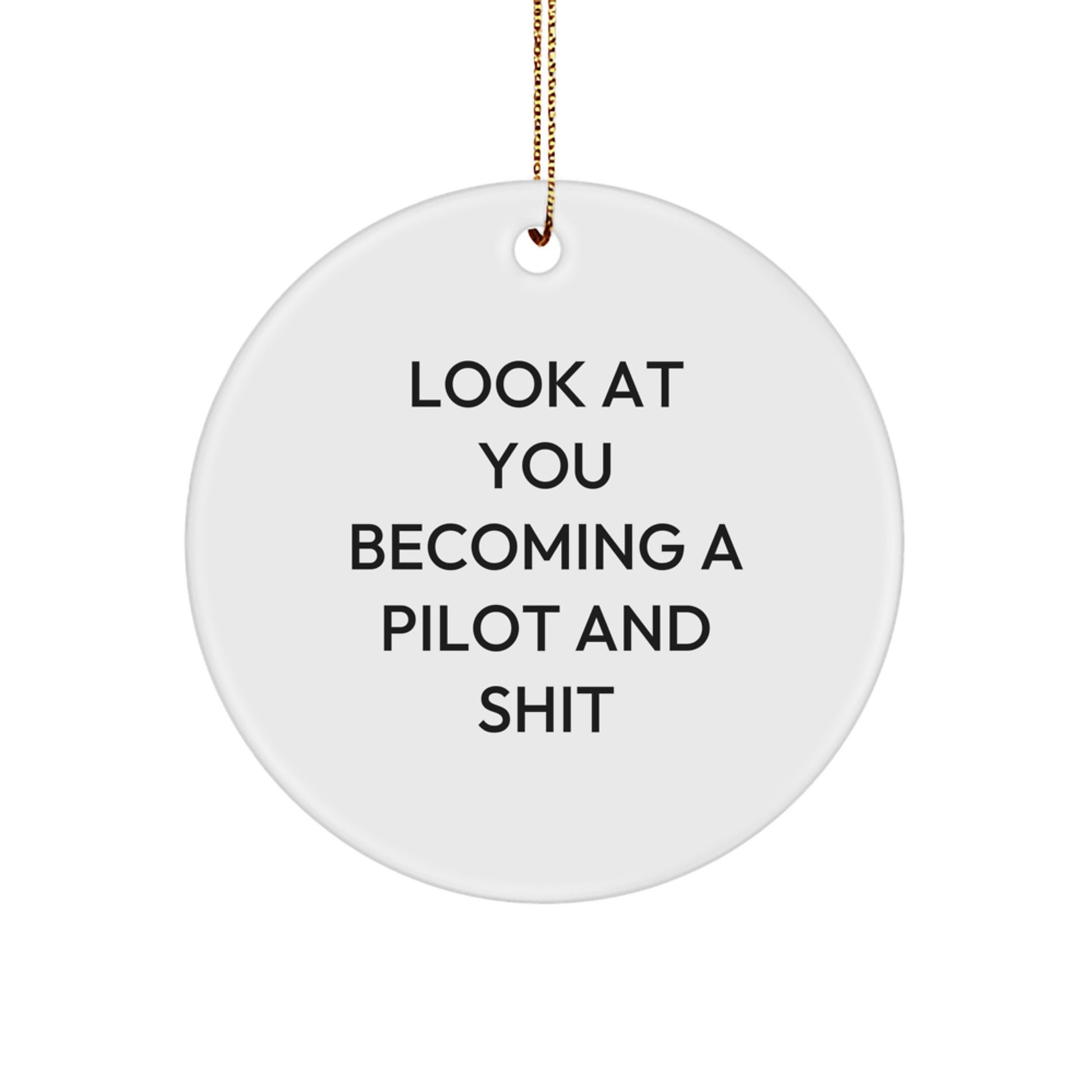 Funny Pilot Gifts for Men - 'Look At You Becoming A Pilot And Shit' Circle Ornament Gifts from Friends to Family - Image 1