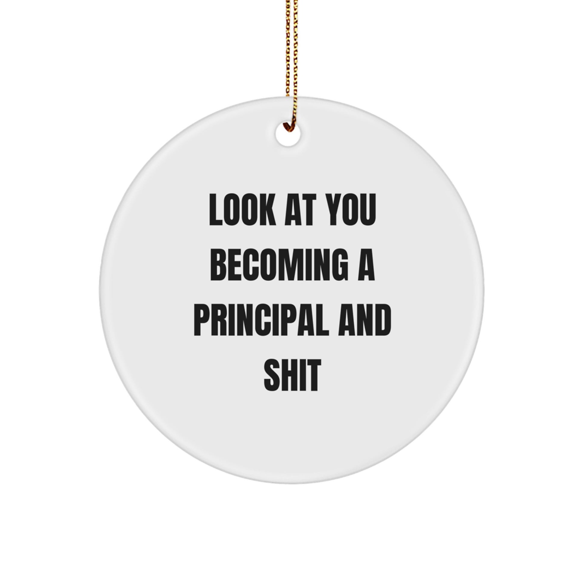 Funny Principal Circle Ornament Gifts from Friends for Men Women Colleagues, 'Look At You Becoming A Principal And Shit' Christmas Unique Decorations - Image 1