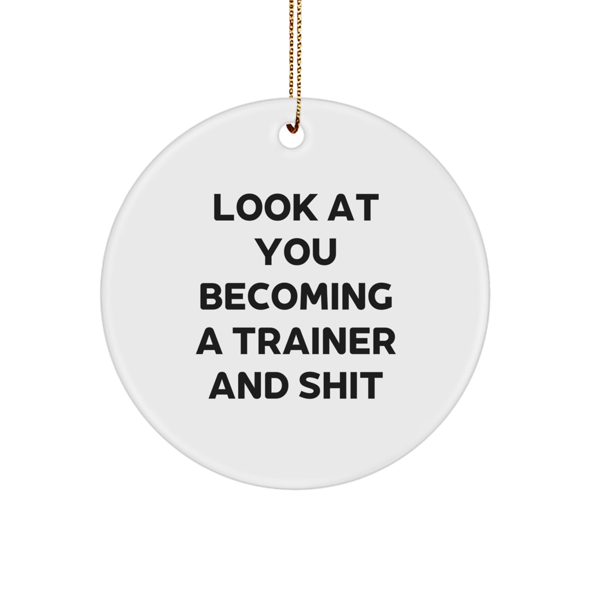 Funny Trainer Circle Ornament Gifts from Friends, Unique Trainer Christmas Unique Gifts for Men, Women, or Coworkers - Look At You Becoming A Trainer And Shit - Image 1