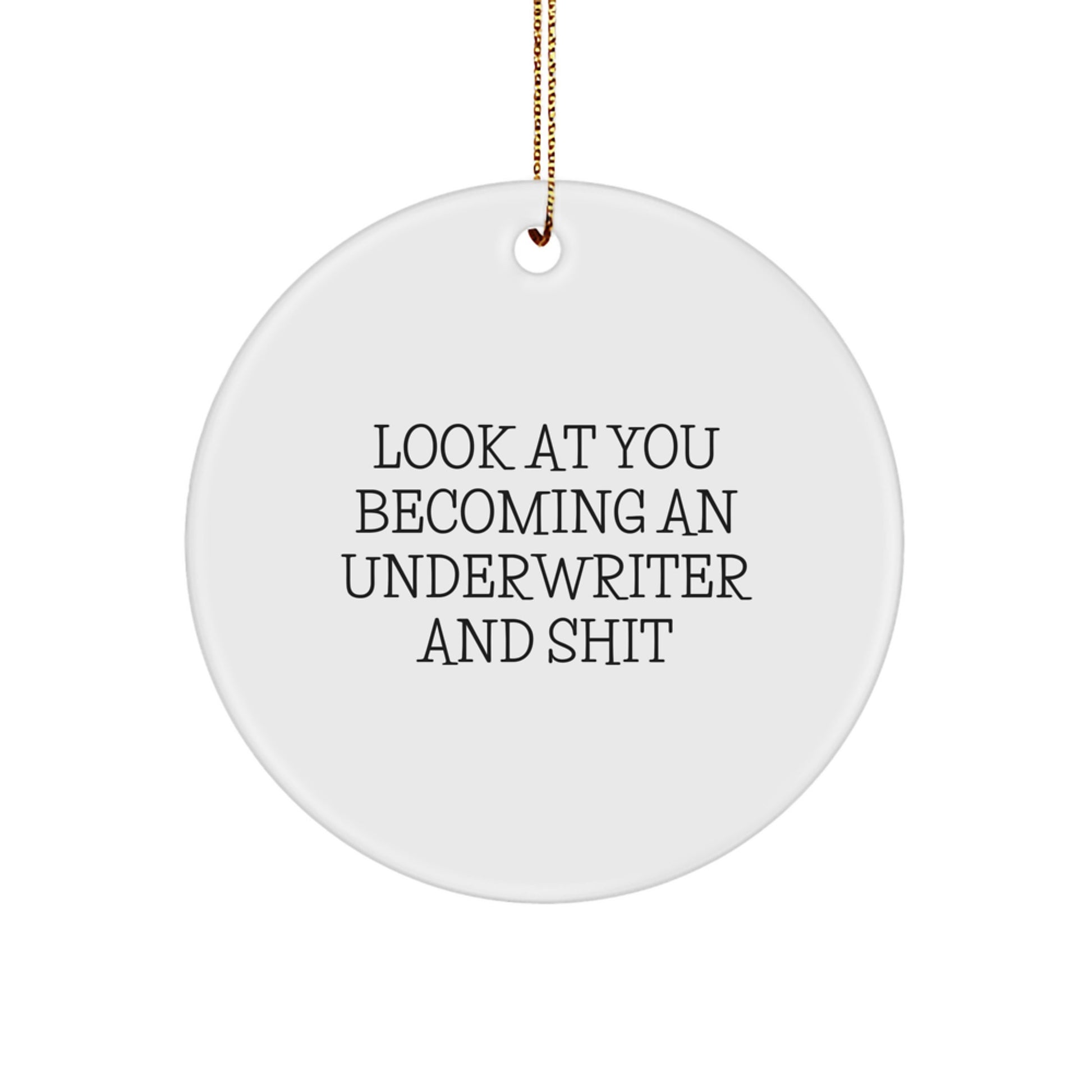 Funny Underwriter Gifts for Men, Unique Circle Ornament 'Look At You Becoming An Underwriter And Shit', Christmas Decorations - Image 1