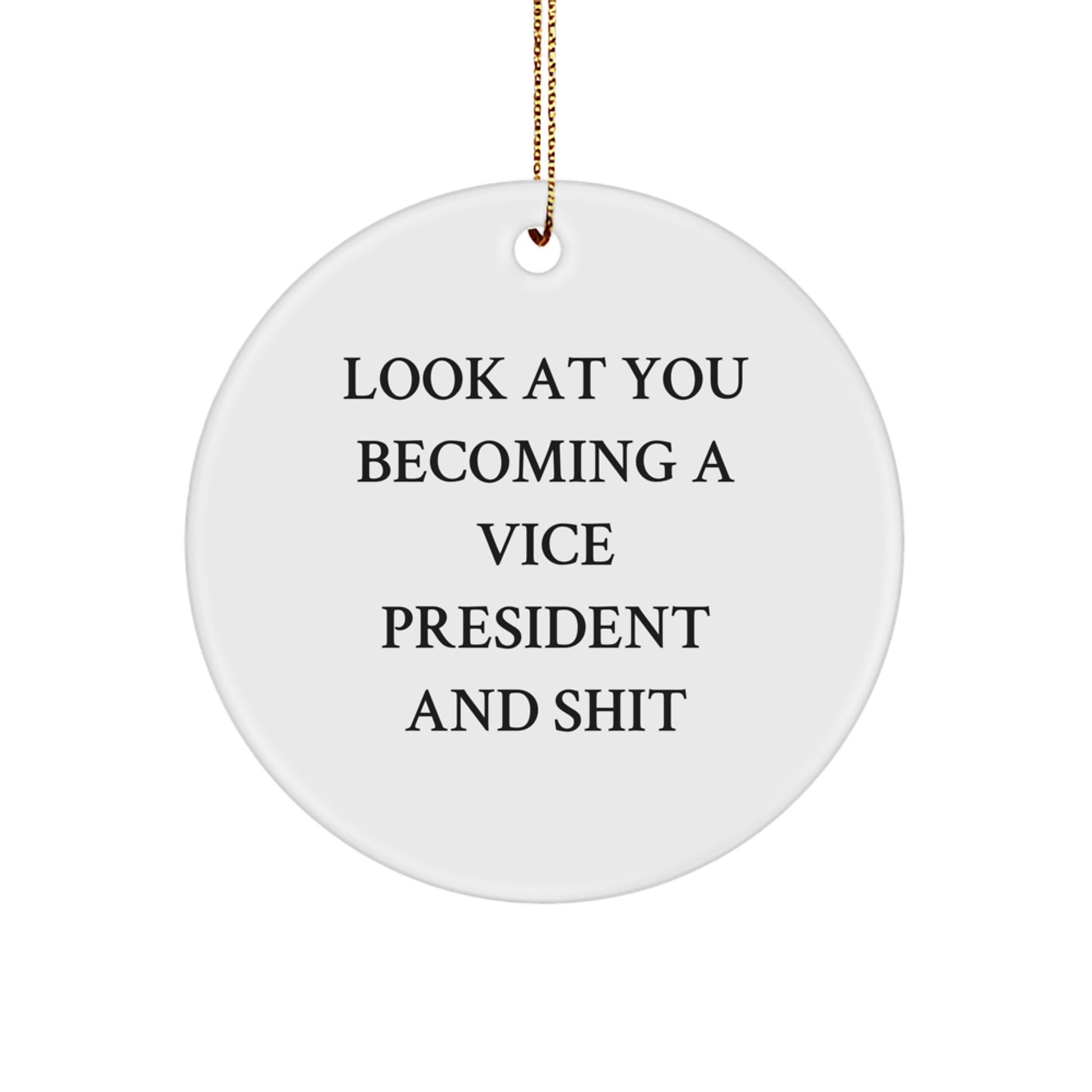 Funny Vice President Gifts from Friends for Christmas Circle Ornament, 'Look At You Becoming A Vice President And Shit' - Image 1