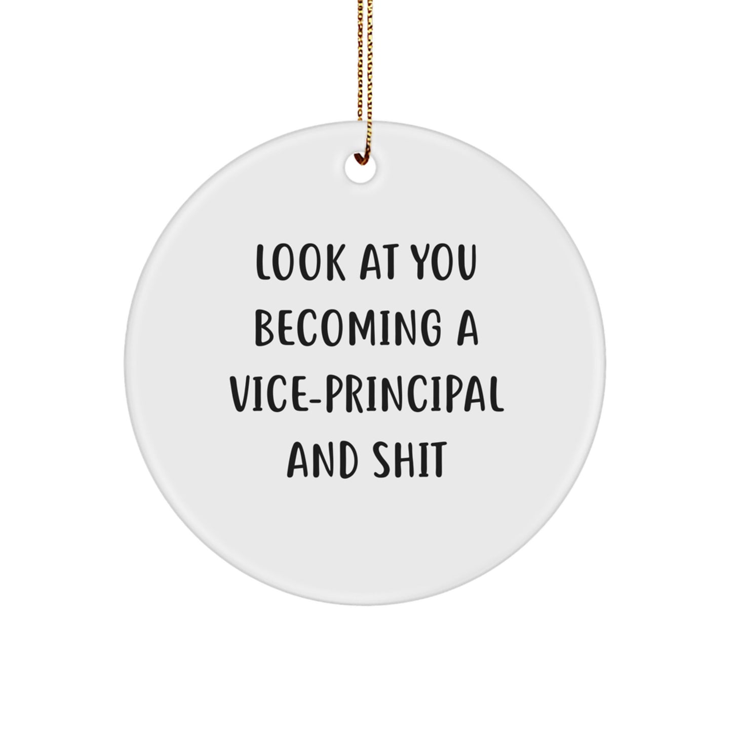 Funny Vice-principal Gifts for Men, Vice-principal Circle Ornament, Look At You Becoming A Vice-principal And Shit, Christmas Unique Gifts, Gifts from Friends for Vice-principal - Image 1