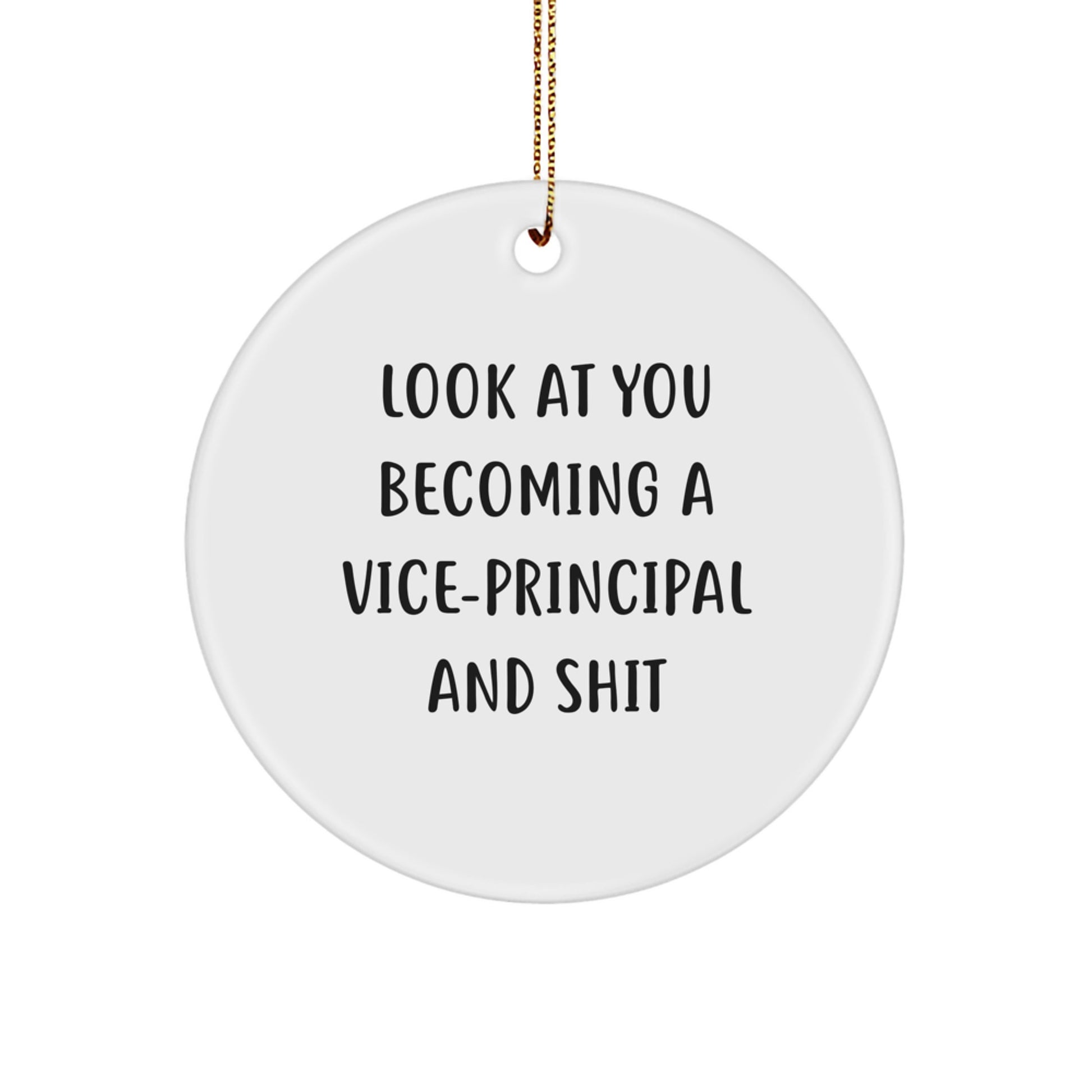Funny Vice-principal Gifts for Men, Vice-principal Circle Ornament, Look At You Becoming A Vice-principal And Shit, Christmas Unique Gifts, Gifts from Friends for Vice-principal - Image 1