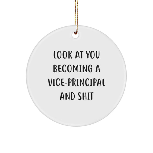 Funny Vice-principal Gifts for Men, Vice-principal Circle Ornament, Look At You Becoming A Vice-principal And Shit, Christmas Unique Gifts, Gifts from Friends for Vice-principal - Image 1