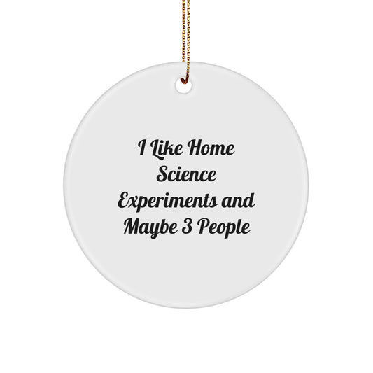 Gifts from Friends for Home Science Experiments Enthusiasts, Cute Circle Ornament for Christmas Unique Gifts, I Like Home Science Experiments And Maybe 3 People - Image 1
