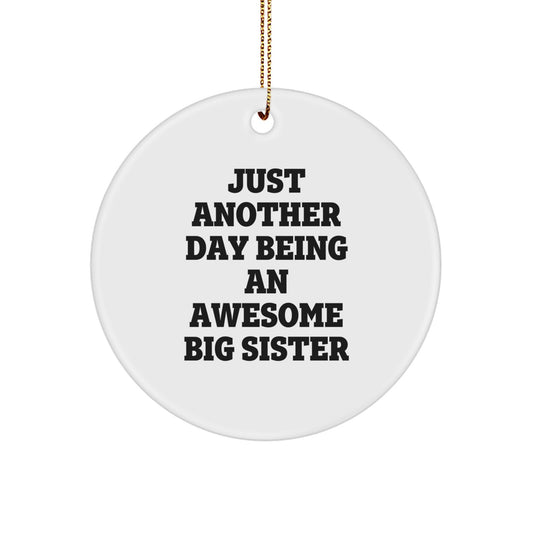 Funny Big Sister Circle Ornament Gifts from Family for Christmas Decorations - Image 1