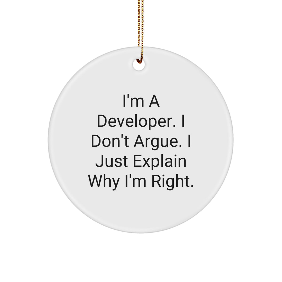 Witty Developer Christmas Ornament Gift for Friends - I Don't Argue, I - Image 1