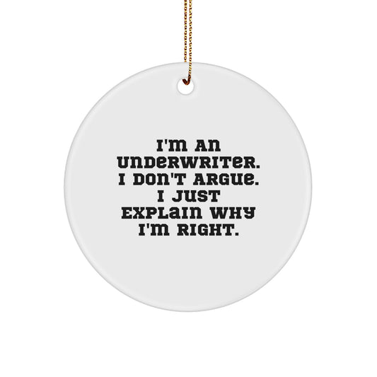 Funny Underwriter Gifts for Underwriter, Cute Circle Ornament, Inspirational Christmas Unique Gifts from Men to Women - Image 1
