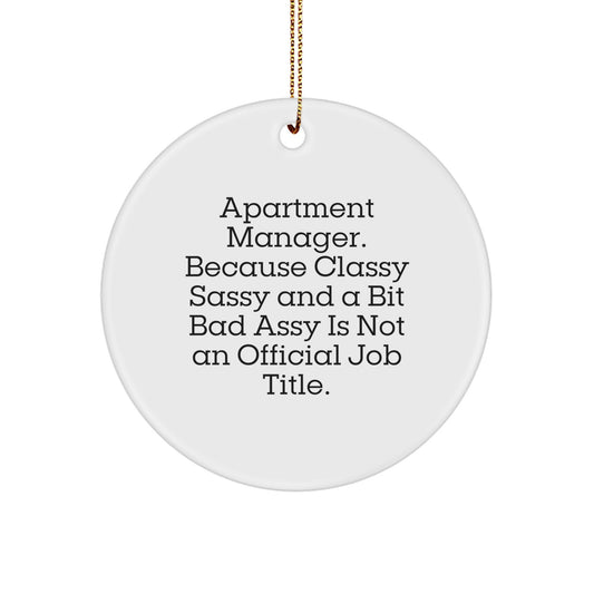 Funny Christmas Unique Gifts for Apartment Manager - 'Because Classy Sassy And A Bit Fearlessy Is Not An Official Job Title.' Circle Ornament - Image 1