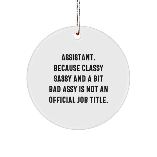 Funny 'Assistant' Circle Ornaments Gifts for Men Women Friends Coworkers Family - Christmas Unique Decorations from Friends - Image 1