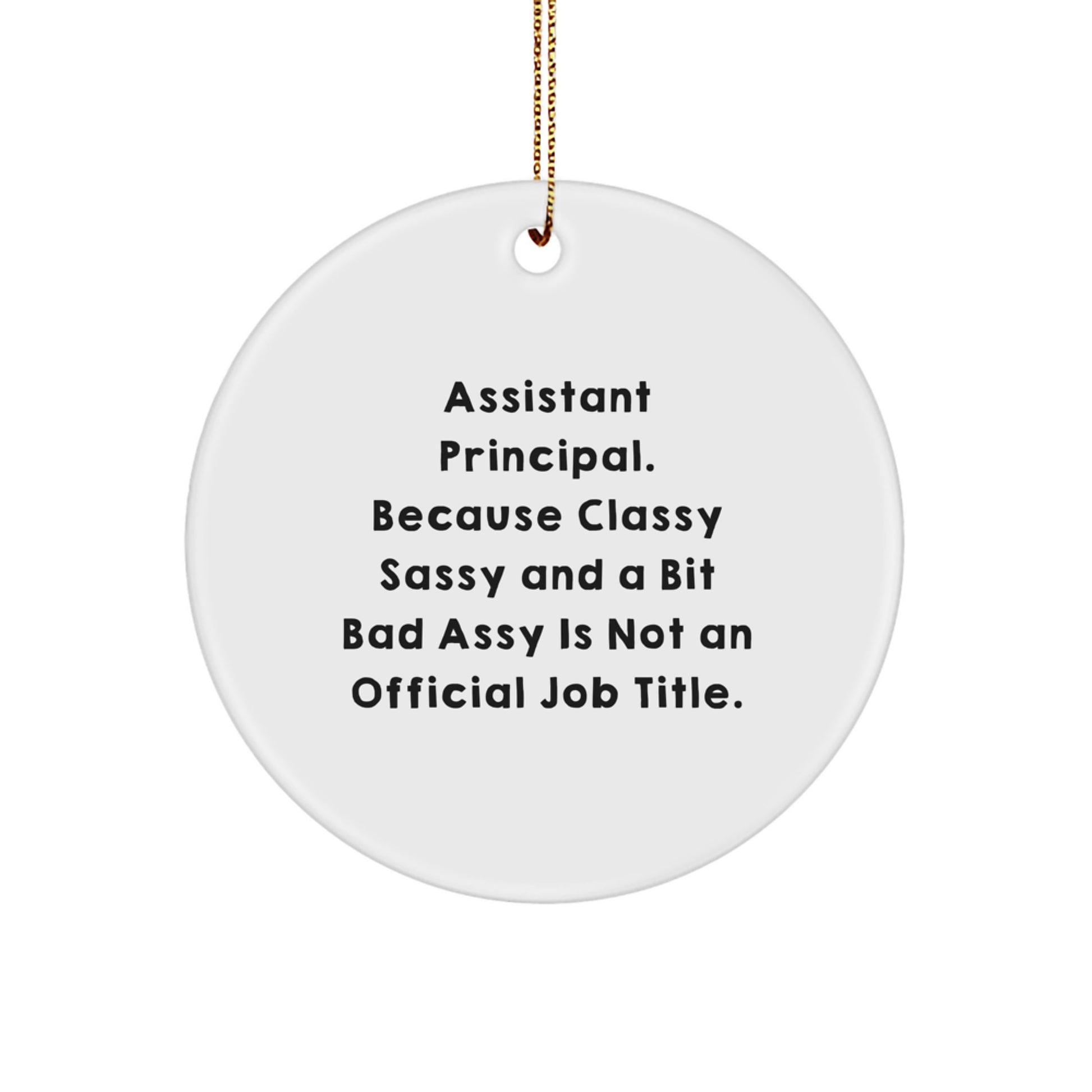 Assistant Principal Gifts, Funny Quote Circle Ornament, Gifts from Family and Friends for Assistant Principals at Christmas - Image 1