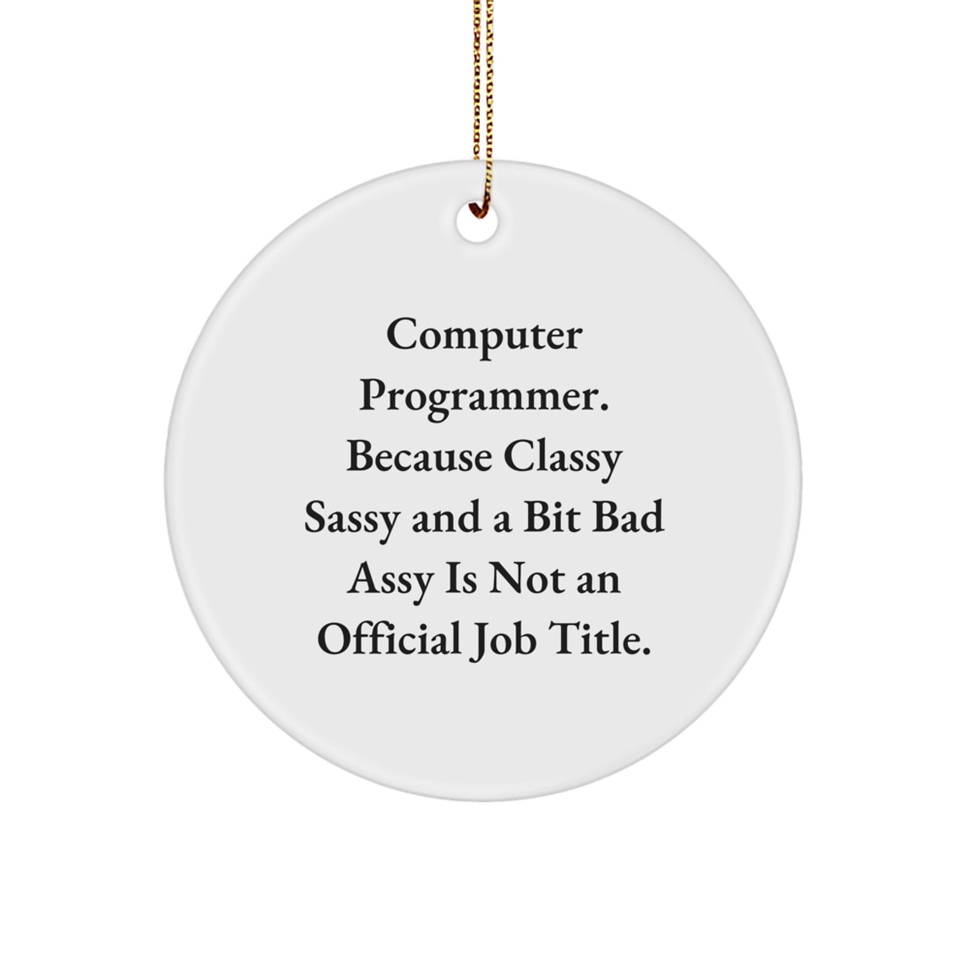 Funny Computer Programmer Gifts, Circle Ornament for Men, Women or Coworkers, Inspirational Quote, Christmas Unique Gifts from Friends or Family, Perfect for Home Office or Study - Image 1