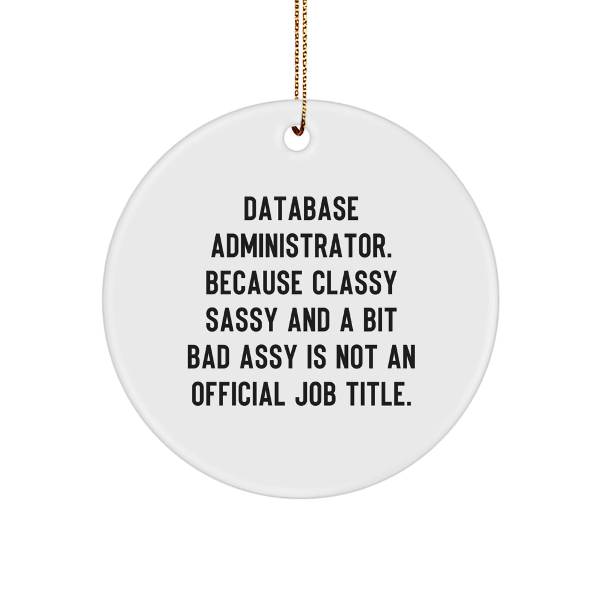 Funny Database Administrator Gifts, Classy Sassy and a Bit Fearlessy Quote Circle Ornament, Gifts from Family, Friends, or Coworkers for Database Administrator - Image 1