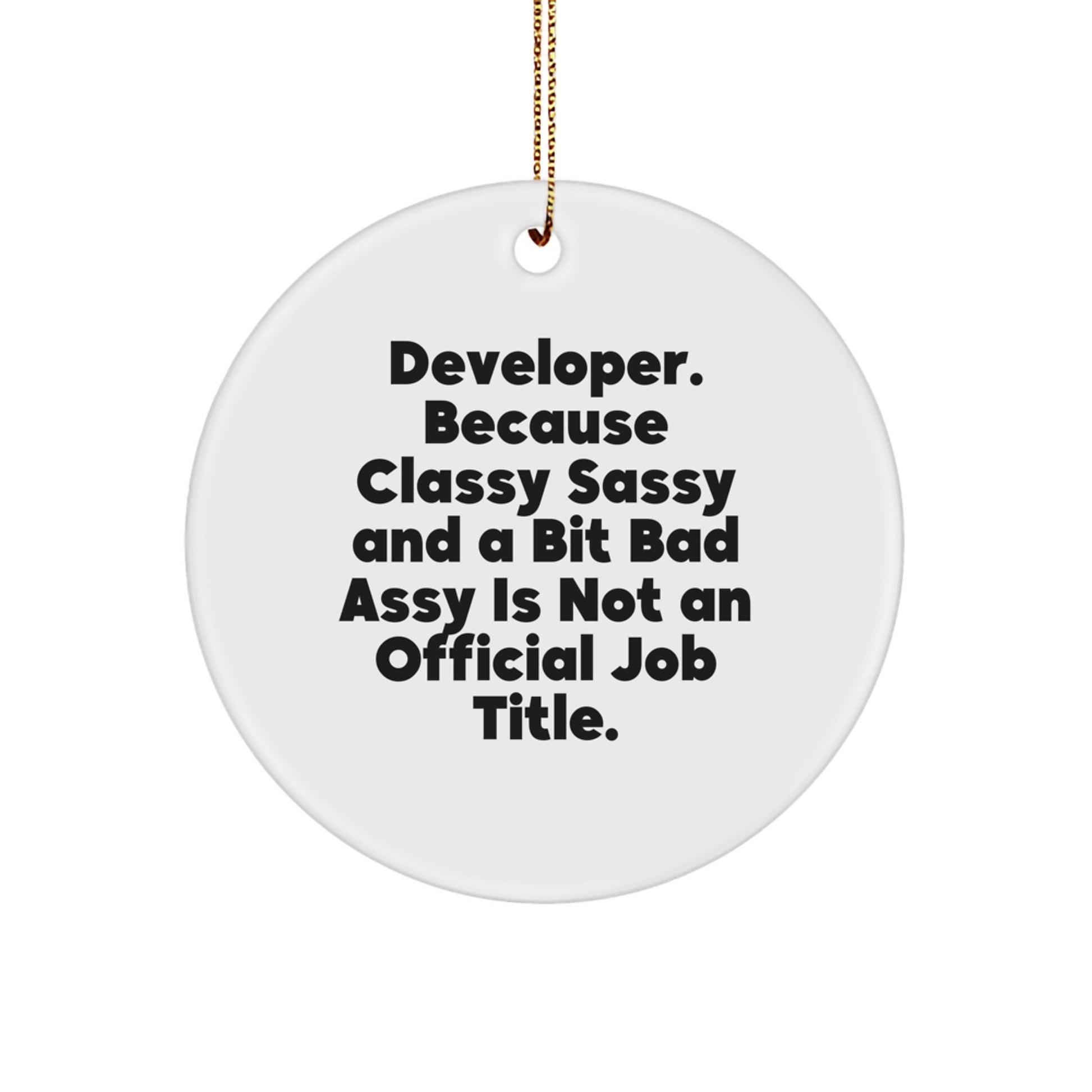 Developer Gifts from Friends and Family - Funny Circle Ornament for Christmas Unique Gifts - Image 1