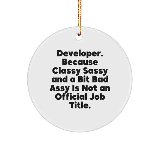 Developer Gifts from Friends and Family - Funny Circle Ornament for Christmas Unique Gifts - Image 1