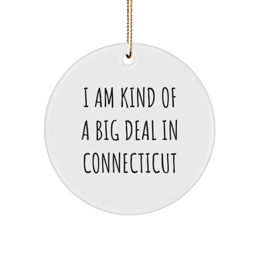 Funny Connecticut Circle Ornament Gifts from Friends and Family for Men and Women - I Am Kind Of A Prime Selection In Connecticut Christmas Decoration - Image 1