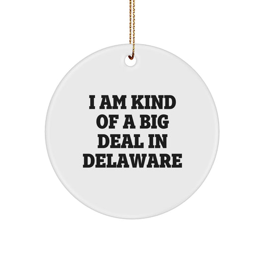 Funny Delaware Gifts from Friends, I Am Kind Of A Prime Selection In Delaware Circle Ornament for Delaware Fans, White Christmas Unique Gifts - Image 1