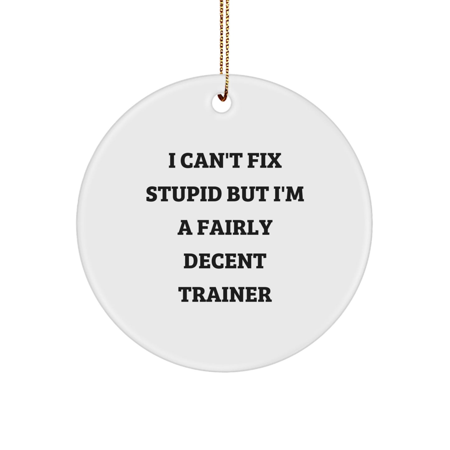 Funny Trainer Gifts for Christmas - 'I Can't Fix Stupid' Circle Ornament for Trainers from Friends or Family - Image 1