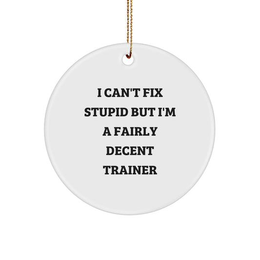 Funny Trainer Gifts for Christmas - 'I Can't Fix Stupid' Circle Ornament for Trainers from Friends or Family - Image 1