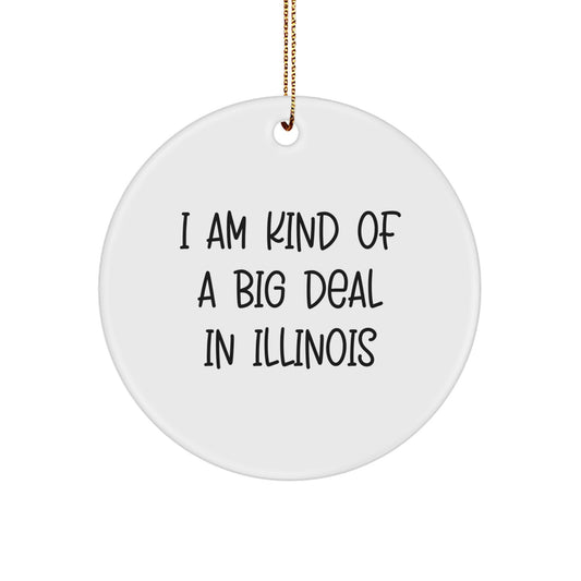 Funny Illinois Gifts from Friends and Family - I Am Kind Of A Prime Selection In Illinois Christmas Circle Ornament - Image 1