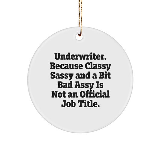 Funny Underwriter Gifts for Underwriter Men - Circle Ornament with Gold Cord - Christmas Unique Gifts from Friends and Family - Image 1