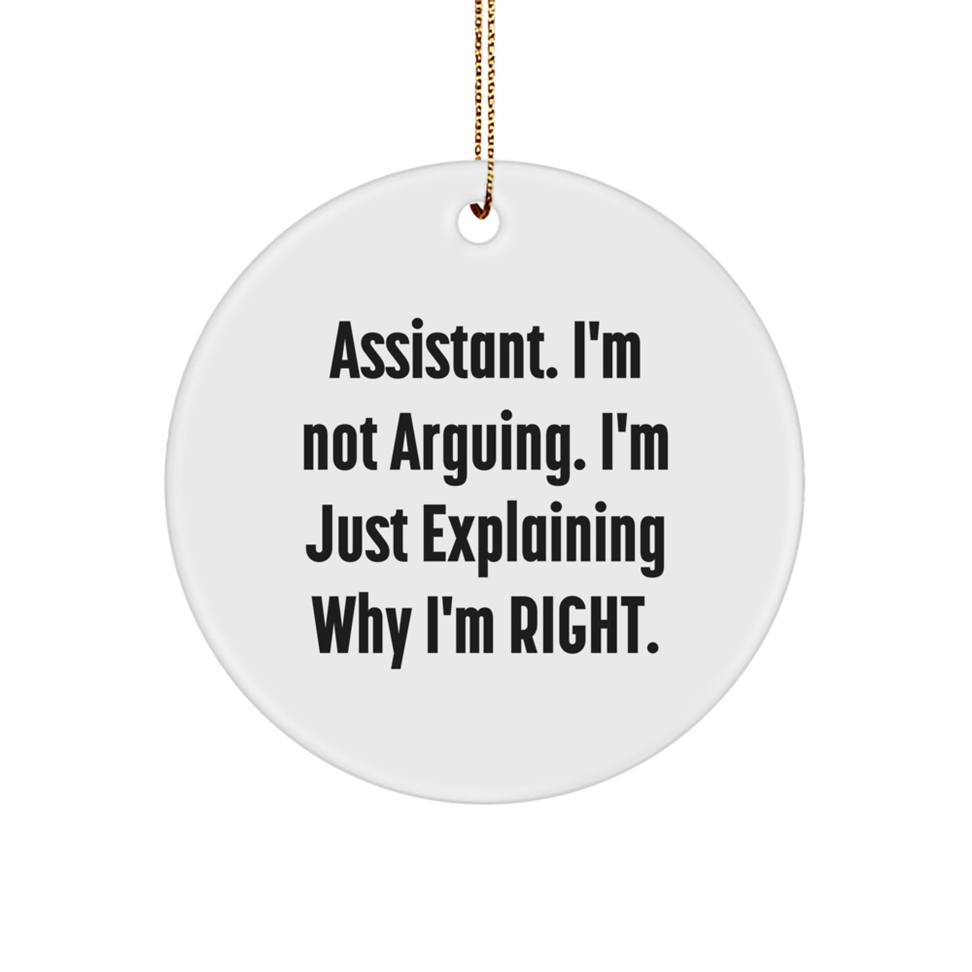 Funny Assistant Gifts from Friends and Family for Christmas Unique Circle Ornament - Image 1
