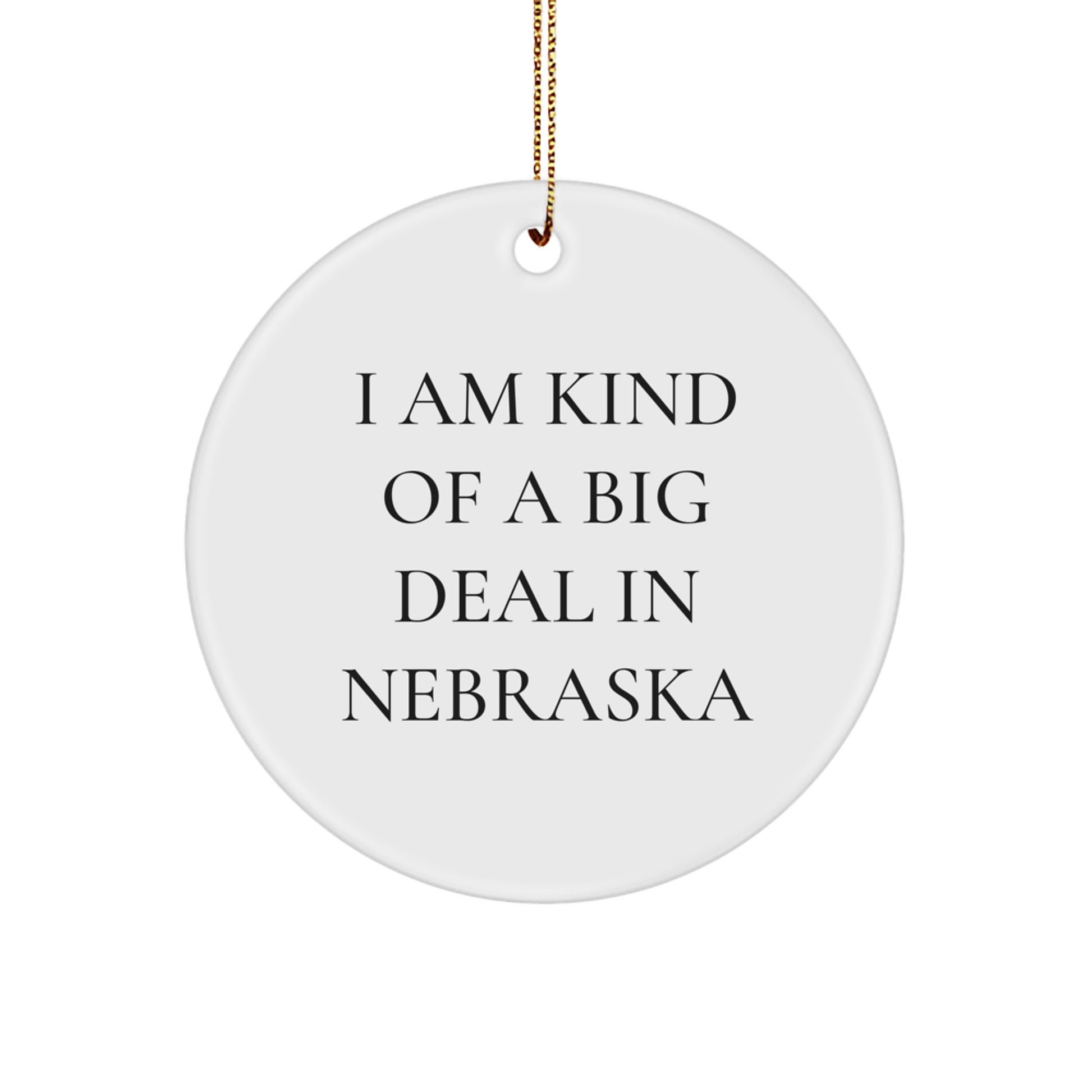 Nebraska Gifts from Friends and Family - Funny Quote Circle Ornament for Christmas Unique Gifts from the Heartland - 'I Am Kind Of A Prime Selection In Nebraska' Ornament - Image 1