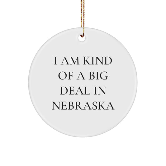 Nebraska Gifts from Friends and Family - Funny Quote Circle Ornament for Christmas Unique Gifts from the Heartland - 'I Am Kind Of A Prime Selection In Nebraska' Ornament - Image 1