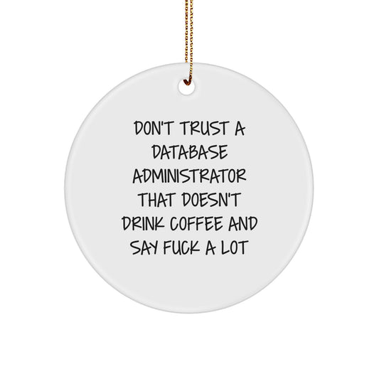 Funny Database Administrator Gifts from Coworkers, Unique Circle Ornaments for Database Administrators, Christmas Unique Gifts for Men - Image 1