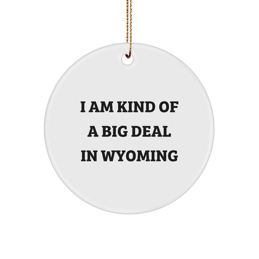 Funny Wyoming Circle Ornament Gifts from Friends to Family - Christmas Unique Gifts - Image 1