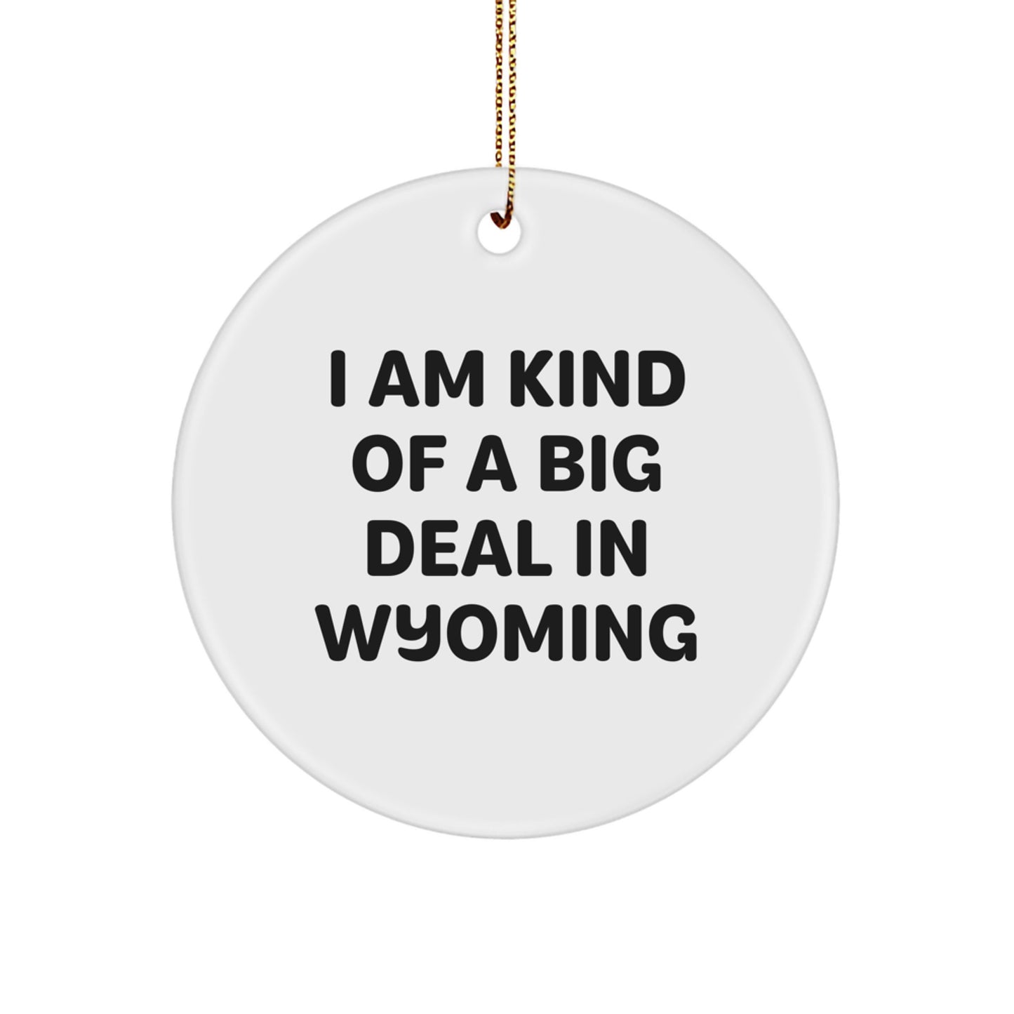 Wyoming Circle Ornament Funny Quote I Am Kind Of A Prime Selection In Wyoming Gifts for Friends and Family from Men Women Coworkers - Image 1