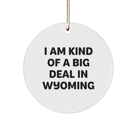 Wyoming Circle Ornament Funny Quote I Am Kind Of A Prime Selection In Wyoming Gifts for Friends and Family from Men Women Coworkers - Image 1
