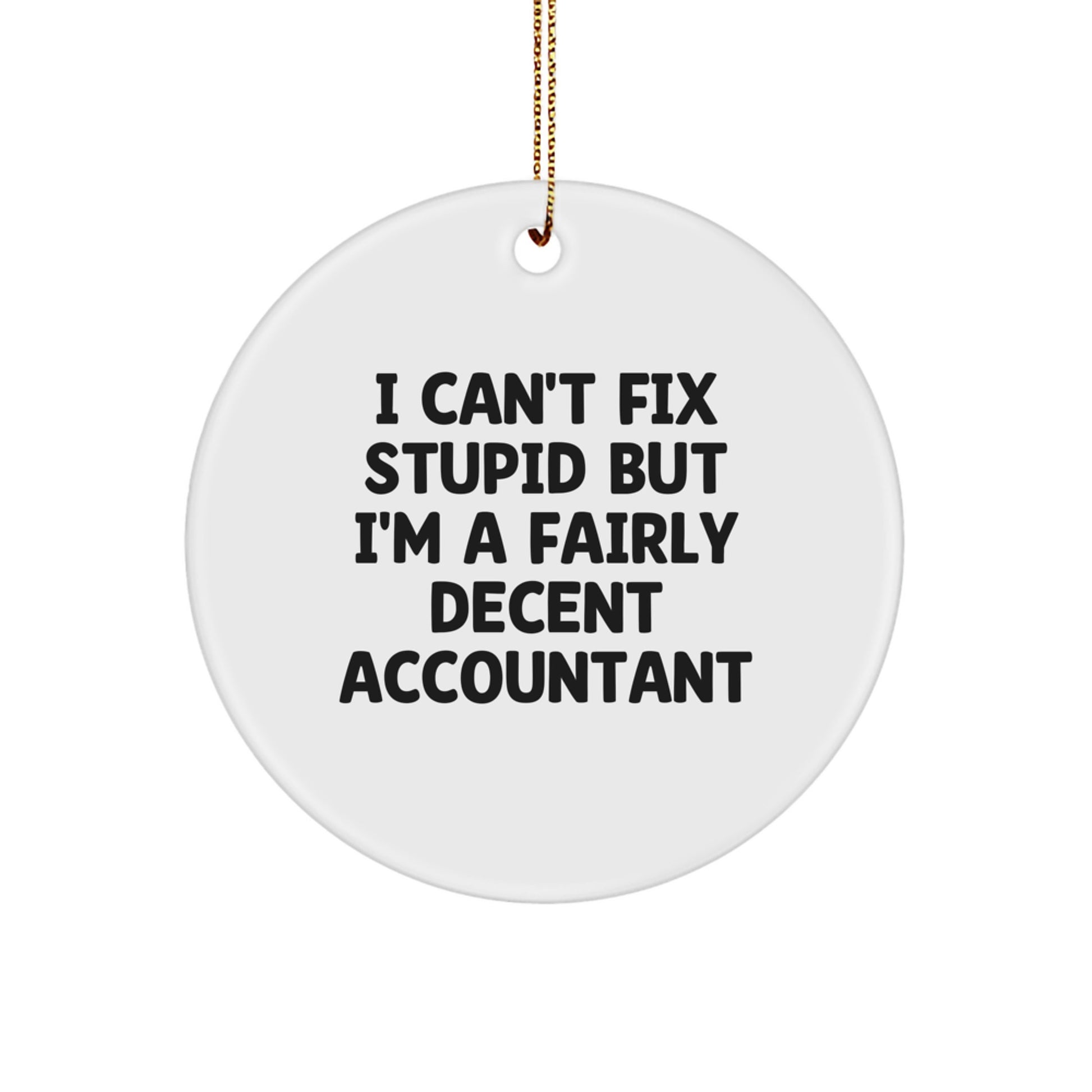 Funny Accountant Gifts from Men to Accountant Friends and Coworkers - I Can't Fix Stupid But I'm A Fairly Decent Accountant Circle Ornament for Christmas Unique Gifts - Image 1