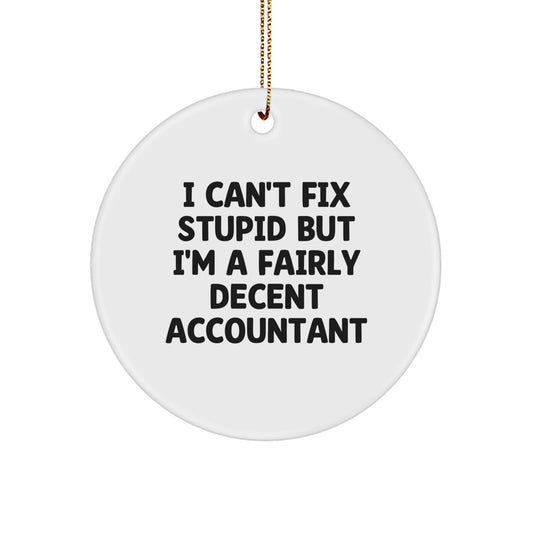 Funny Accountant Gifts from Men to Accountant Friends and Coworkers - I Can't Fix Stupid But I'm A Fairly Decent Accountant Circle Ornament for Christmas Unique Gifts - Image 1