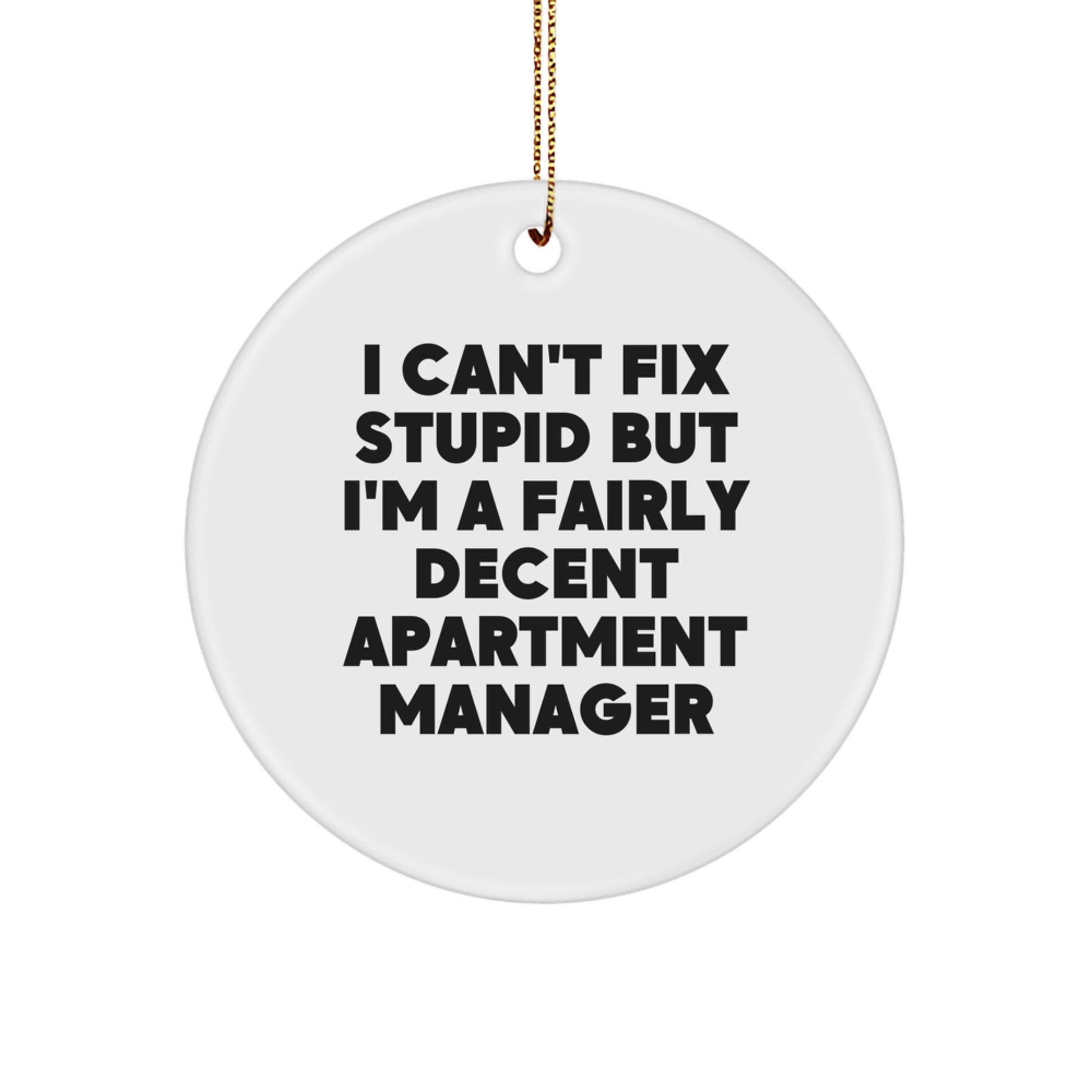 Funny Apartment Manager Gifts from Friends for Christmas Unique Circle Ornaments - I 'Can't Fix Stupid' Quote Decor - Image 1