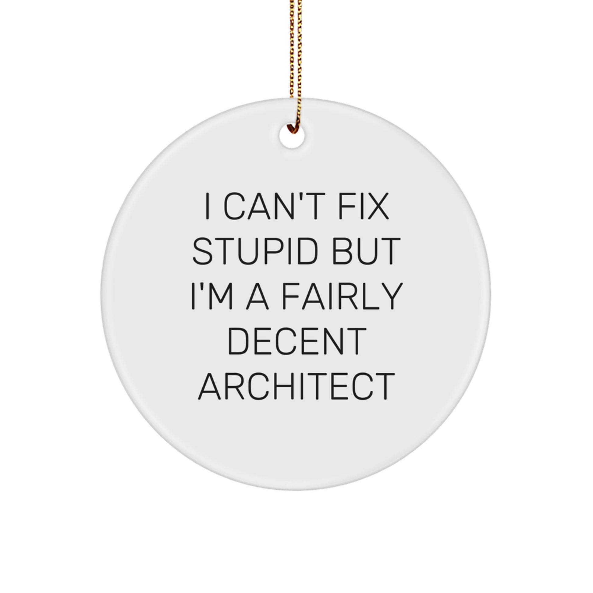Funny Architect Gifts for Men - I Can't Fix Stupid but I'm a Fairly Decent Architect Christmas Ornament, Circle Ornament, Architect Decor - Image 1