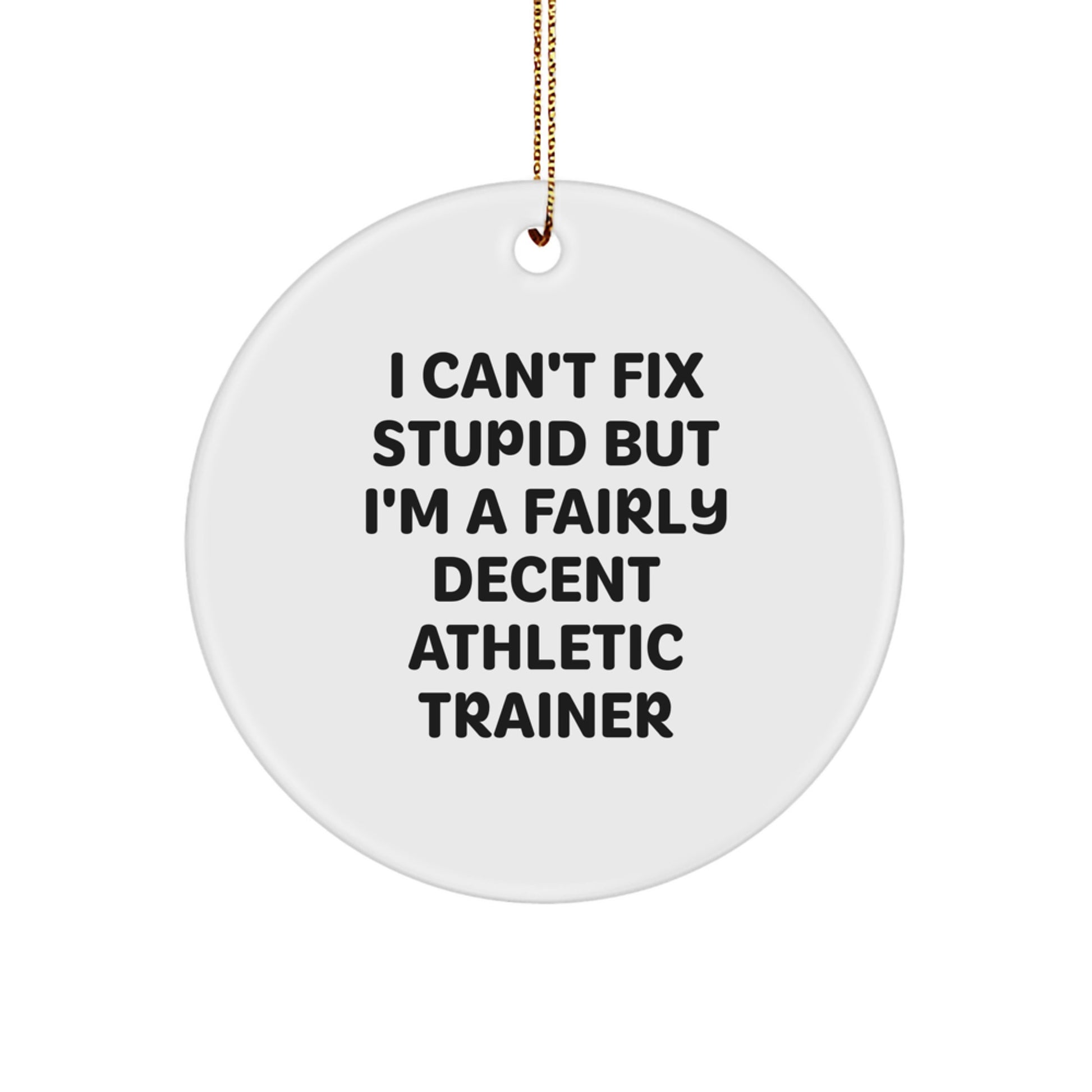 Funny Athletic Trainer Gifts from Friends for Men, Unique Circle Ornament with I Can't Fix Stupid But I'm A Fairly Decent Quote, Christmas Decorations for Home Office - Image 1
