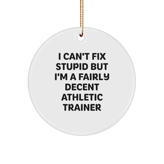 Funny Athletic Trainer Gifts from Friends for Men, Unique Circle Ornament with I Can't Fix Stupid But I'm A Fairly Decent Quote, Christmas Decorations for Home Office - Image 1