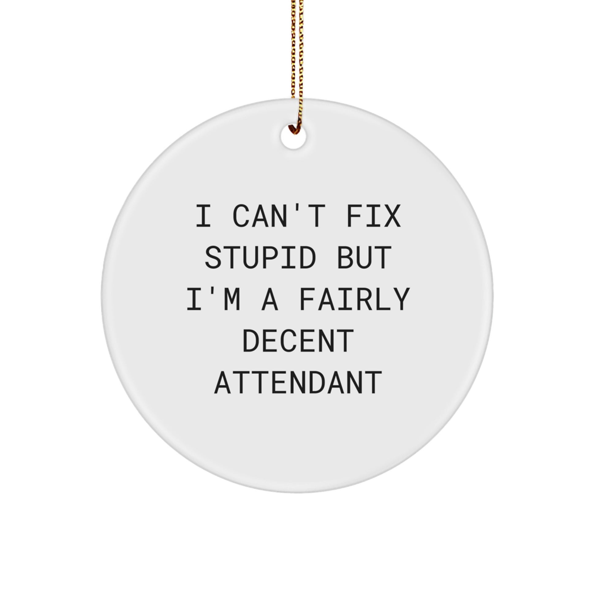 Funny Attendant Christmas Unique Gifts for Men and Women - Circle Ornament with I Can't Fix Stupid But I'm A Fairly Decent Attendant Quote - Gifts from Friends and Family - Image 1